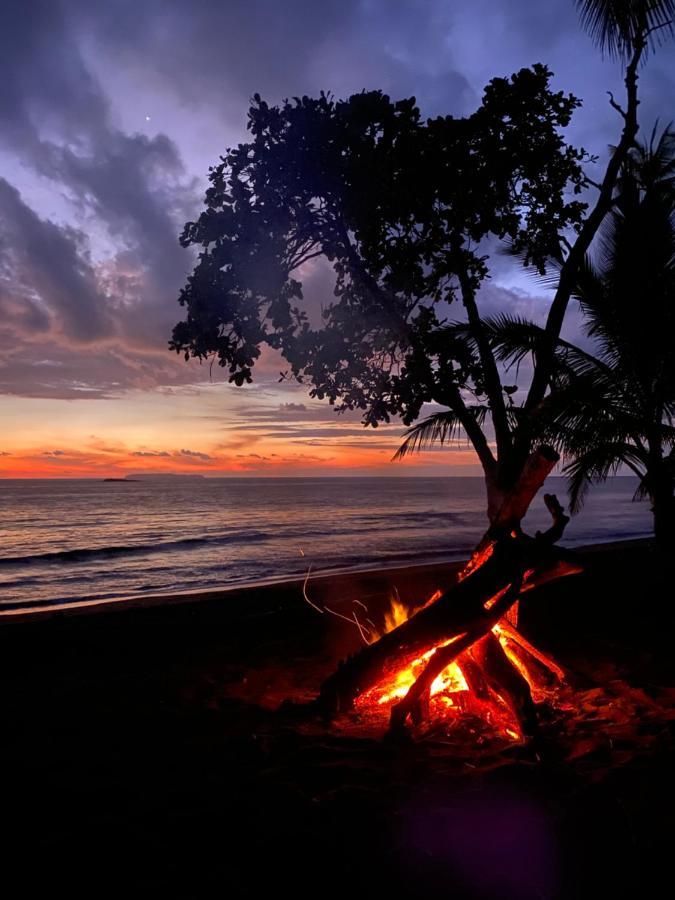 Kinkajoungalows - Amaya Family, Drake Bay, Osa Peninsula San Pedrillo 외부 사진
